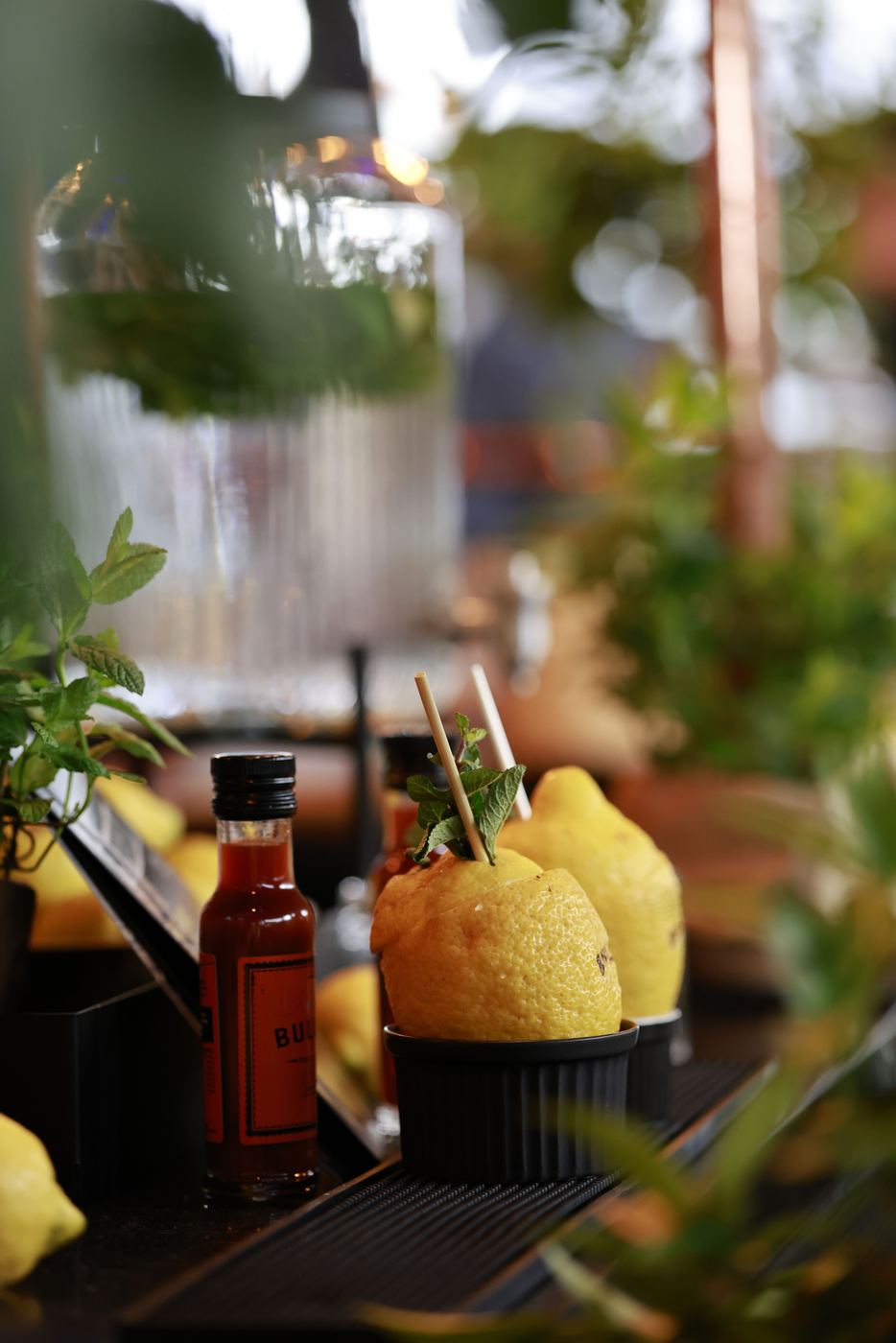 Cocktail mit Zitrone und frischen Kräutern
