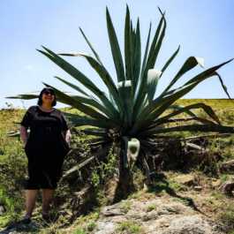 BAR SYMPOSIUM COLOGNE